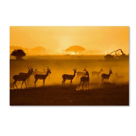 Trademark Fine Art Mathilde Guillemot 'Be Careful' Canvas Art, 22x32 1X02091-C2232GG